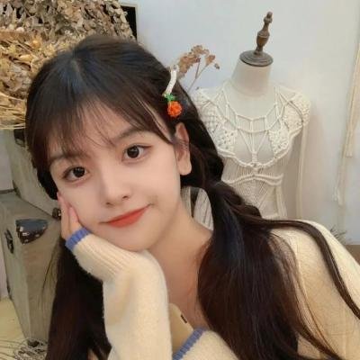 野马齐格和爱丽丝国语